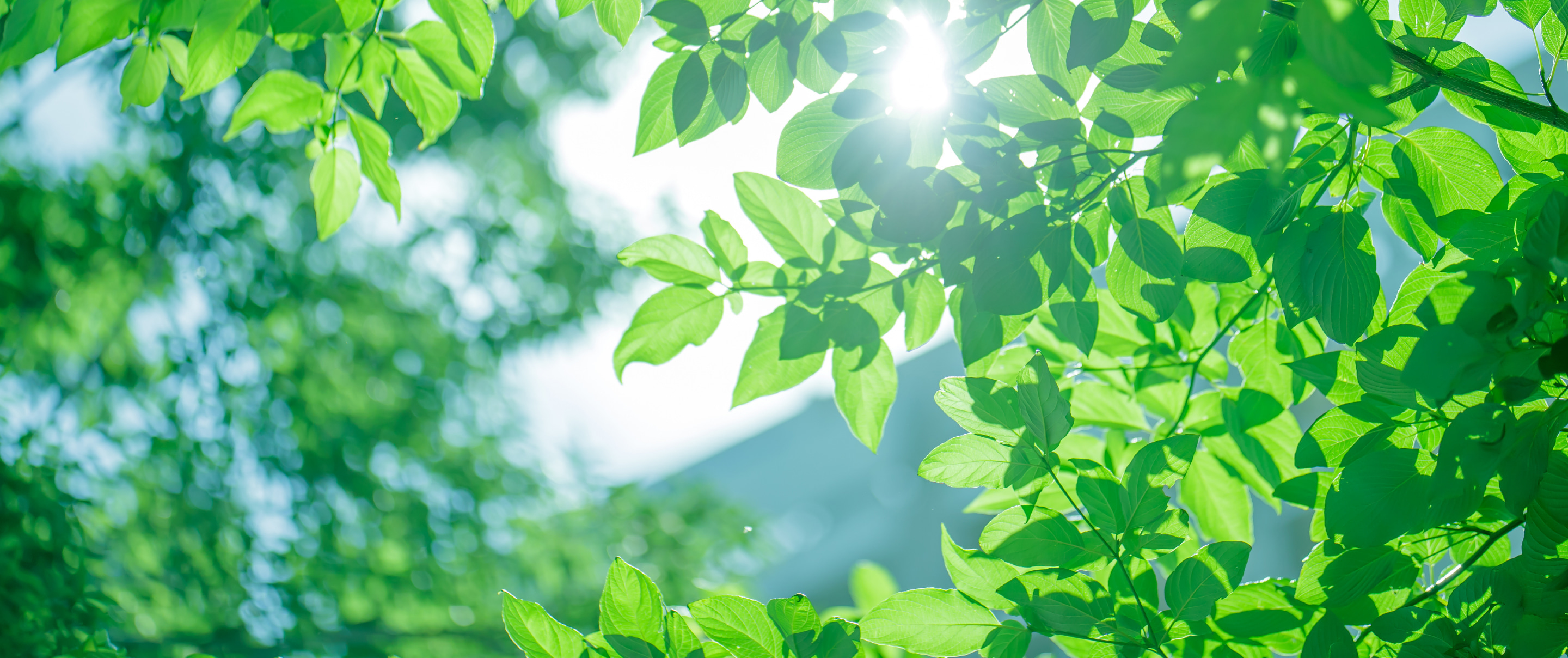 公益財団法人 一ツ橋綜合財団